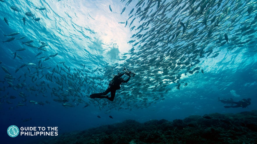  Tubbataha Reef